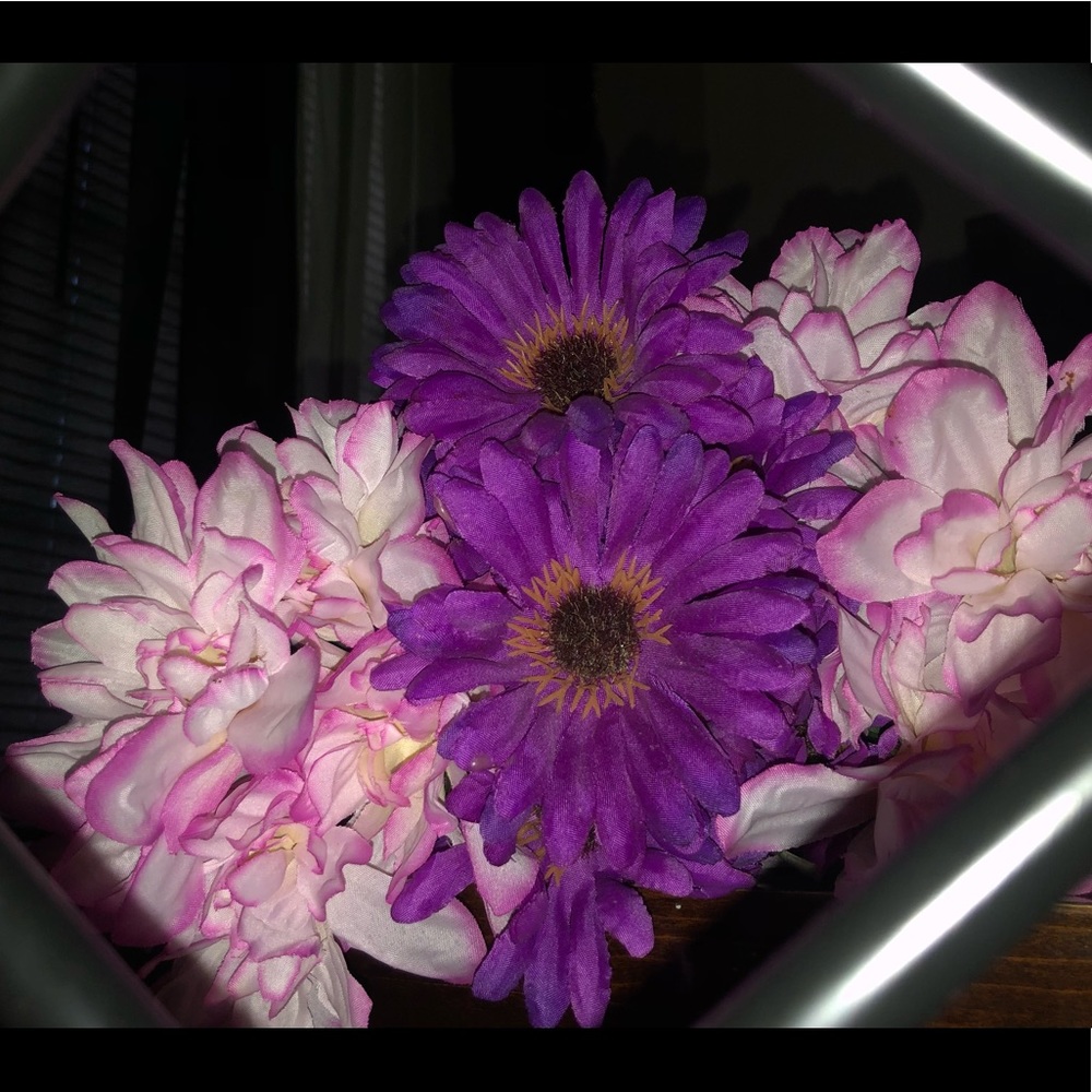 Meet your Posher, Ariyonna